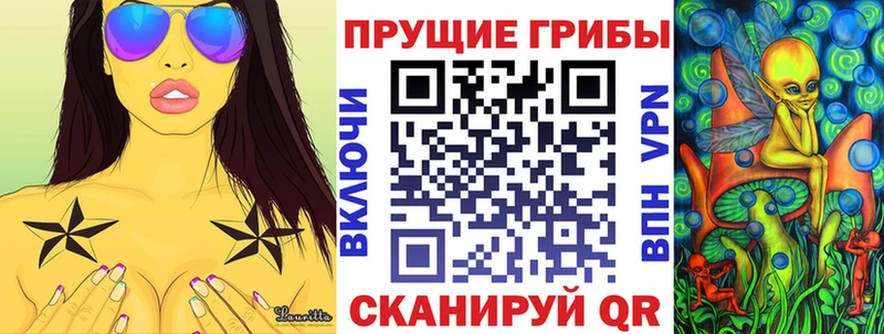 Псилоцибиновые грибы Psilocybine cubensis  Солигалич 
