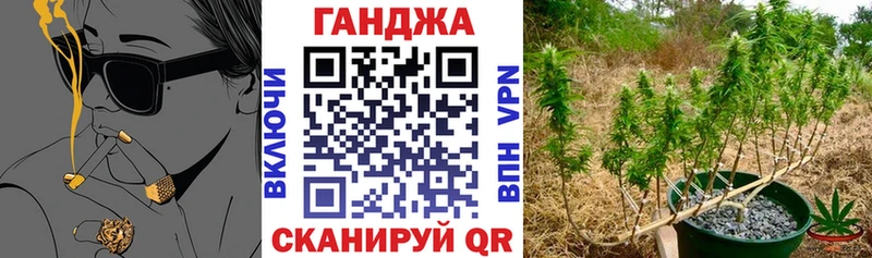 Конопля марихуана Солигалич